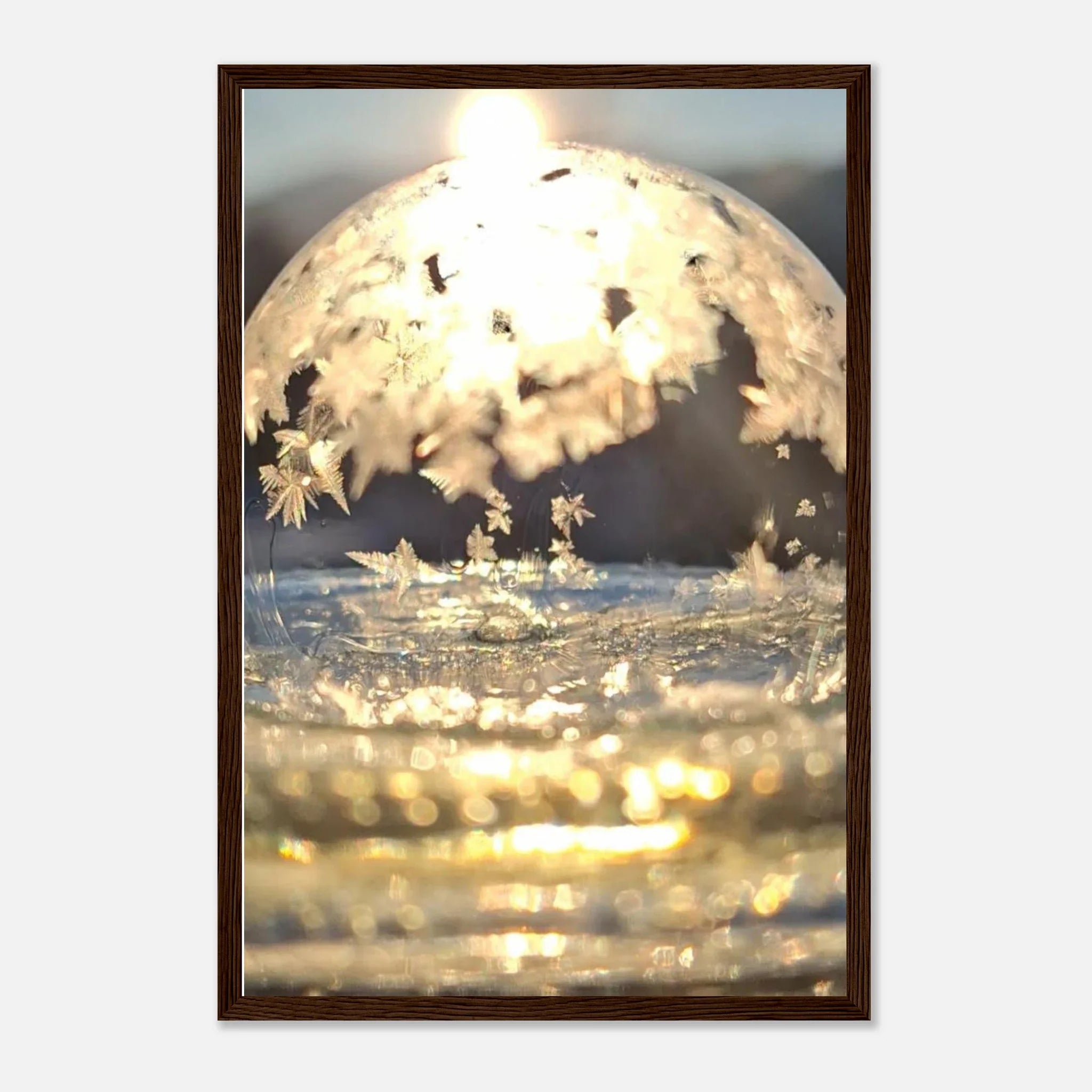 Frozen Bubbly, Frosty Bubble