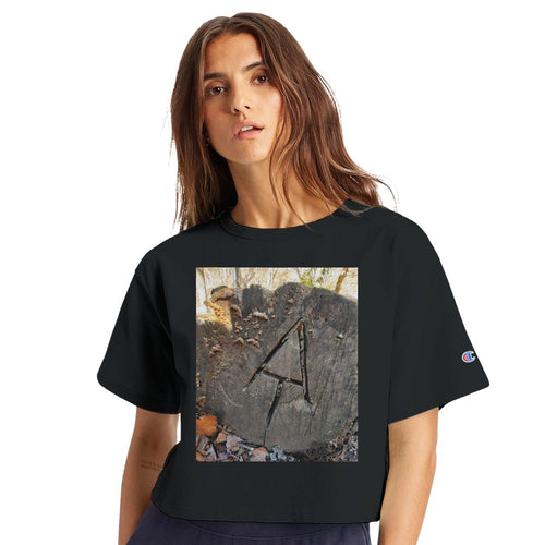 1287caed-6537-4d7d-bdfe-6ca4eb398b2f