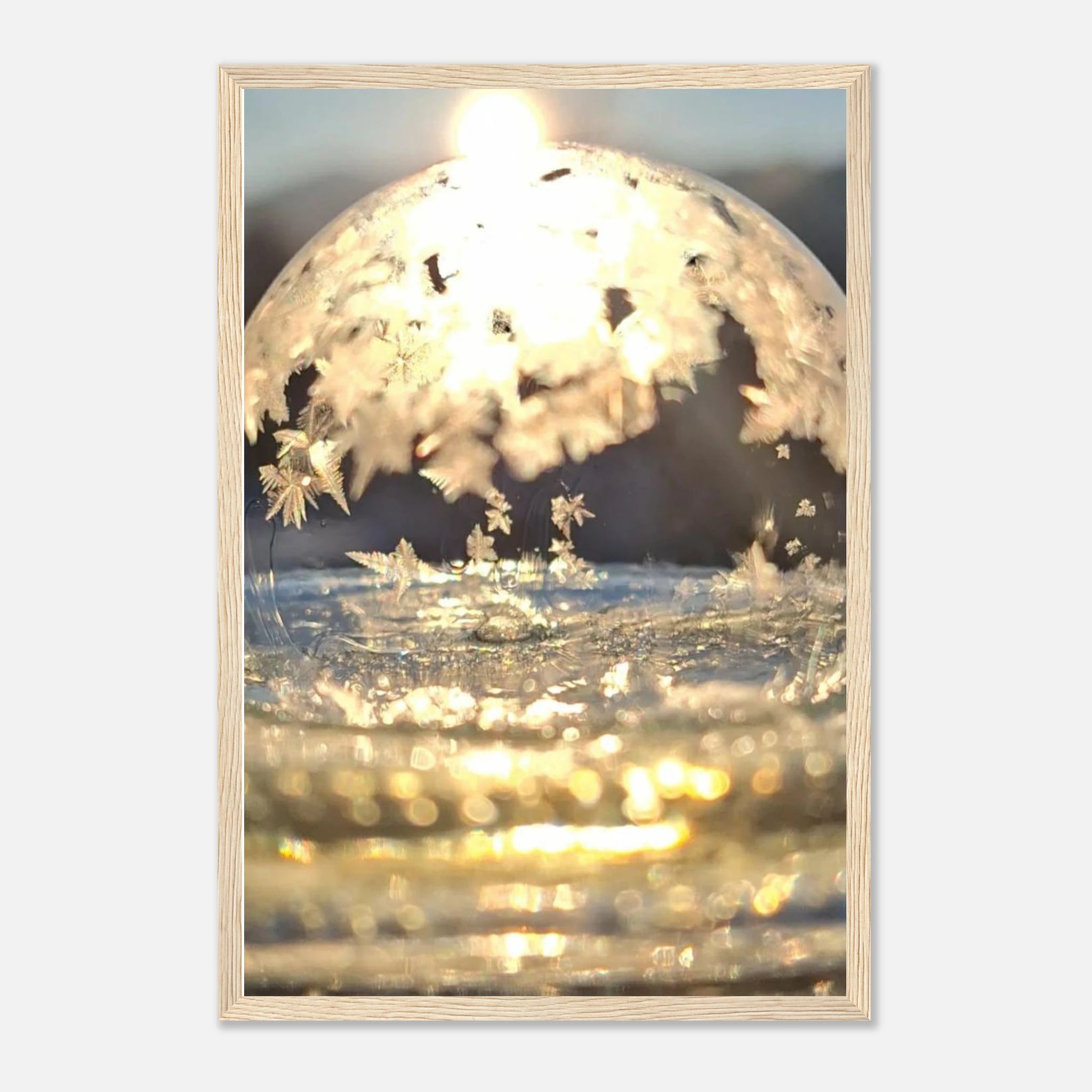 2ce71892-45e5-4fe1-ad77-4f8dcc1c43be