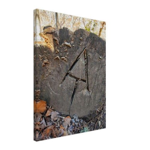 7e978c45-5878-40b5-88ad-9d2569eb8182