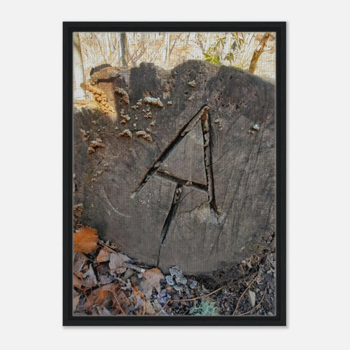 b6ea585e-8832-4c79-83ac-7155631a4c8d